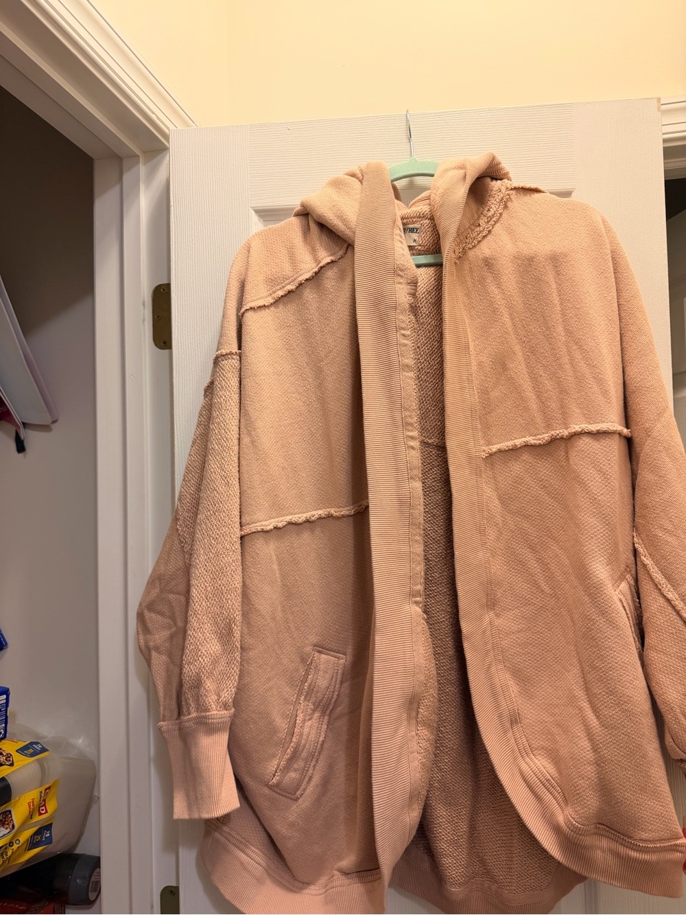 We The Free Oversized Hooded Sweatshirt in Pink